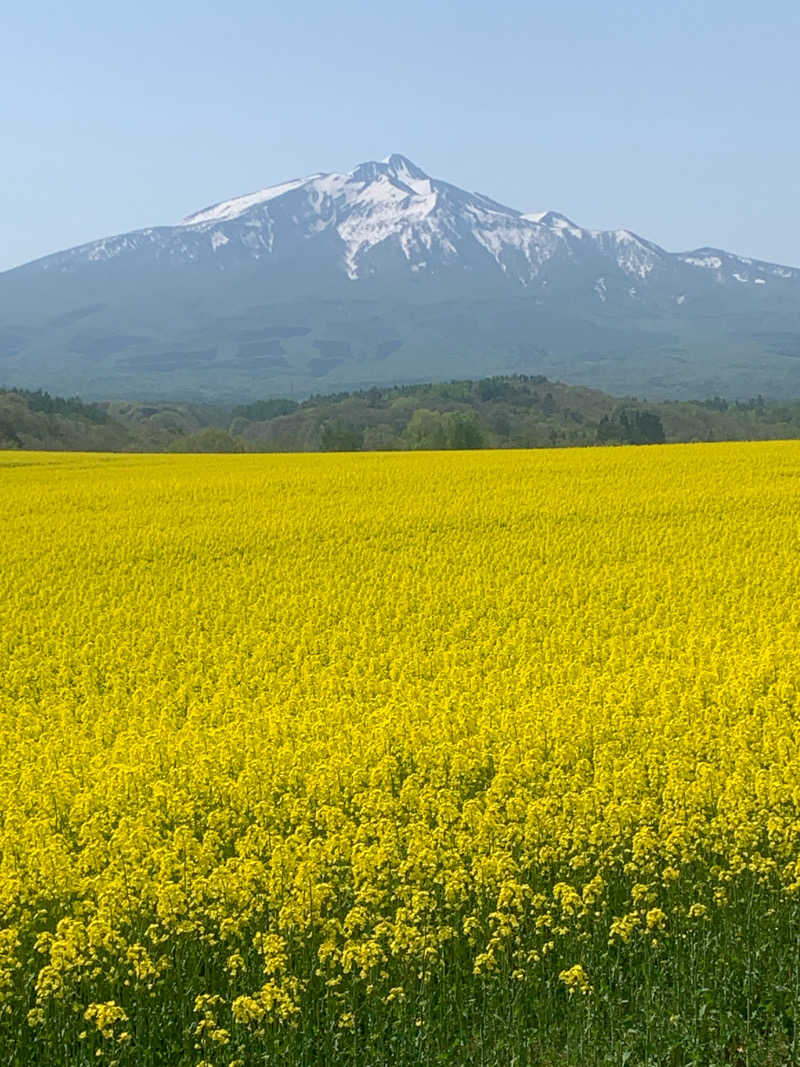 tamikayaさんのあすなろ温泉のサ活写真