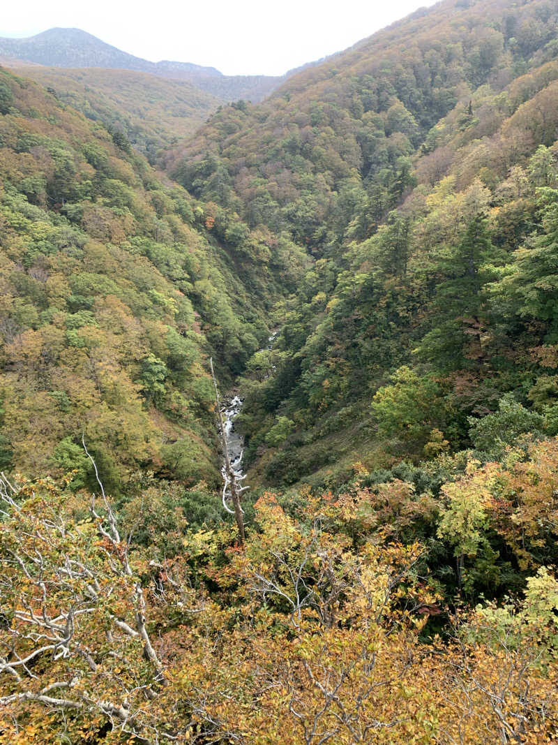 tamikayaさんの十和田温泉のサ活写真