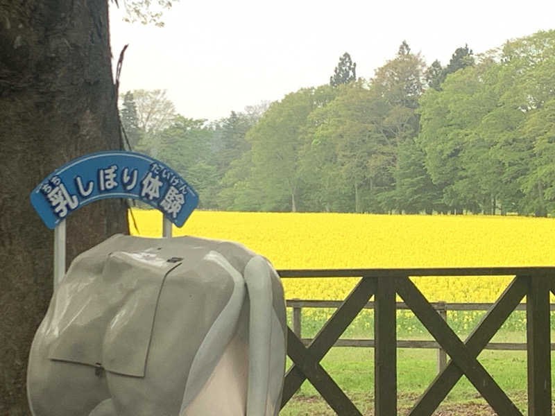 tamikayaさんの一本木沢温泉のサ活写真