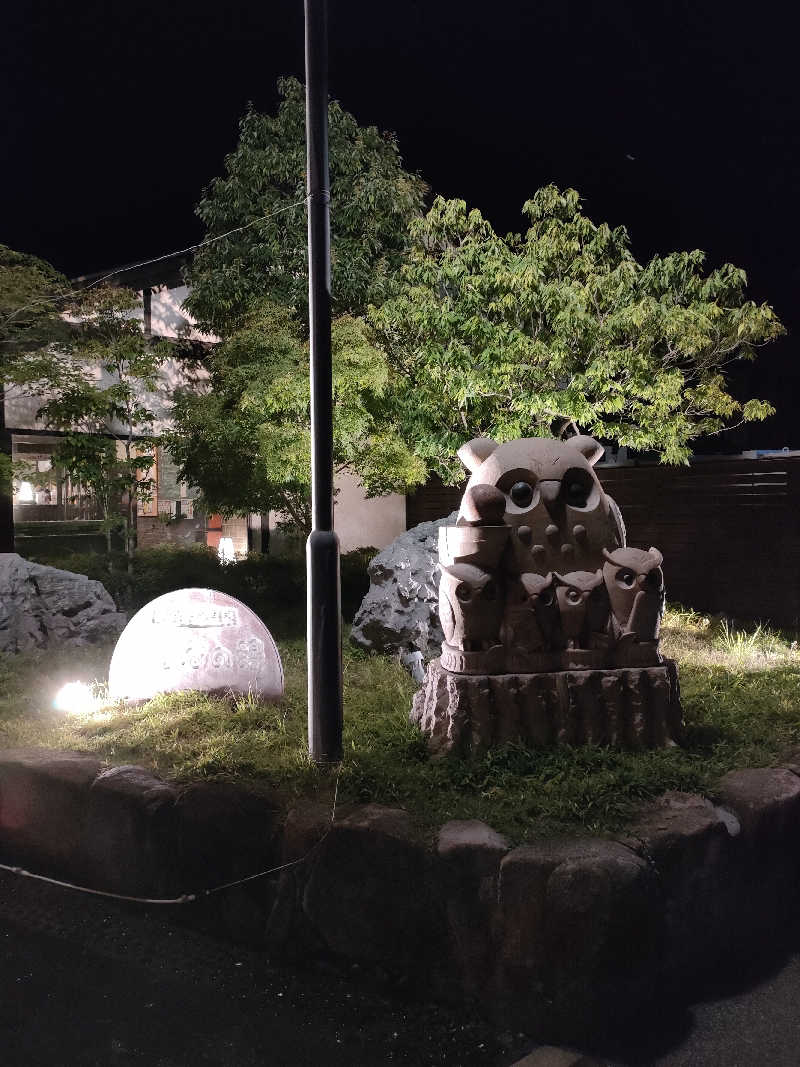 もっちゃんさんの尾道平原温泉 ぽっぽの湯のサ活写真