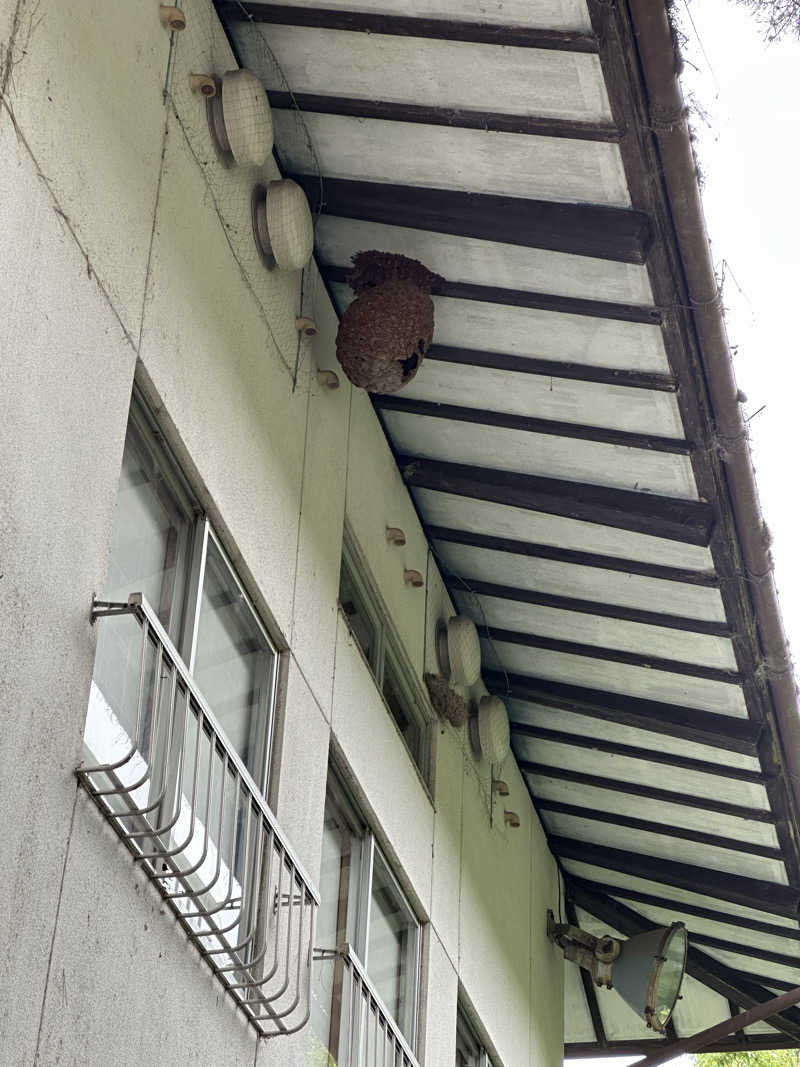 サボリーマンさんのふいご温泉のサ活写真
