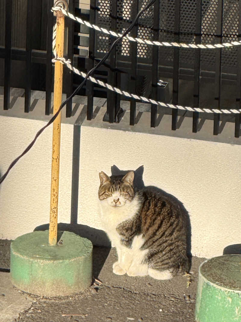 ぱそこんさんの天然温泉 満天の湯のサ活写真