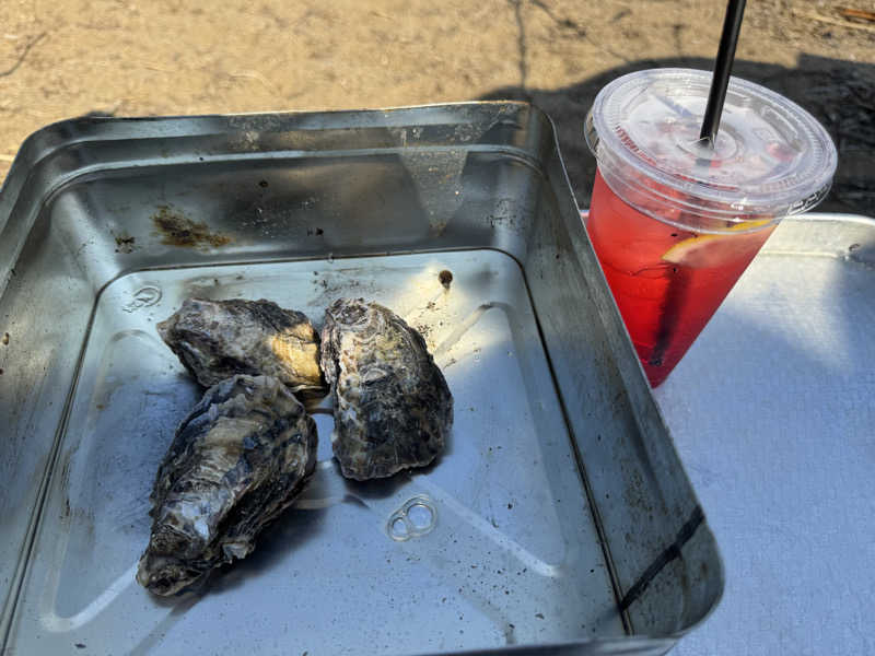 noizuさんのLAKE SIDE HOTELみなとや(MINATOYA SAUNA)のサ活写真