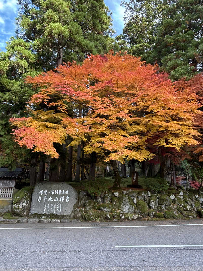 旅するサ活薬剤師💊さんの三六温泉 神明苑のサ活写真