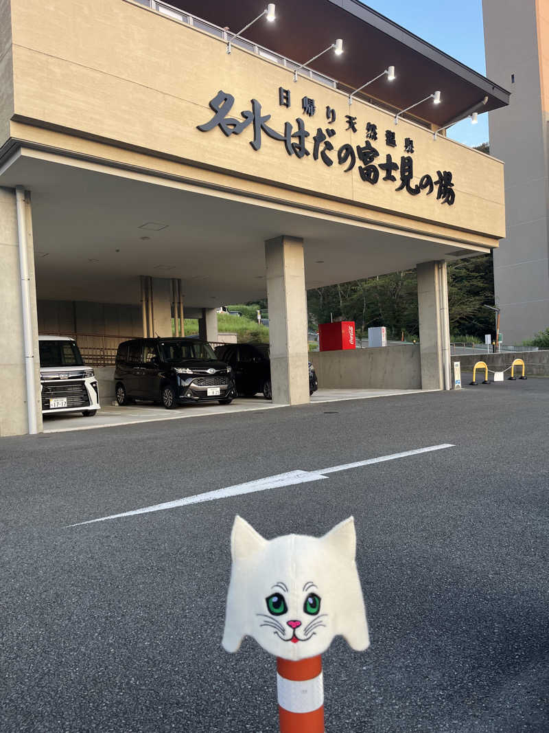 なおマンさんの名水はだの富士見の湯のサ活写真