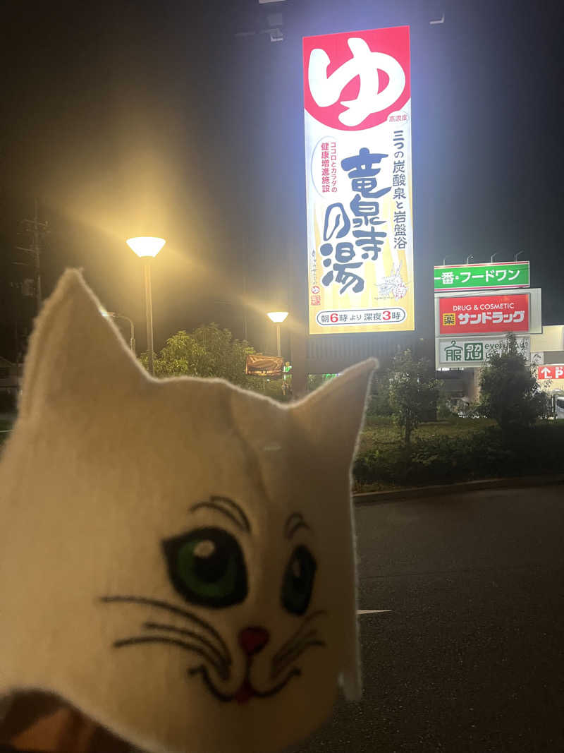 なおマンさんの竜泉寺の湯 八王子みなみ野店のサ活写真