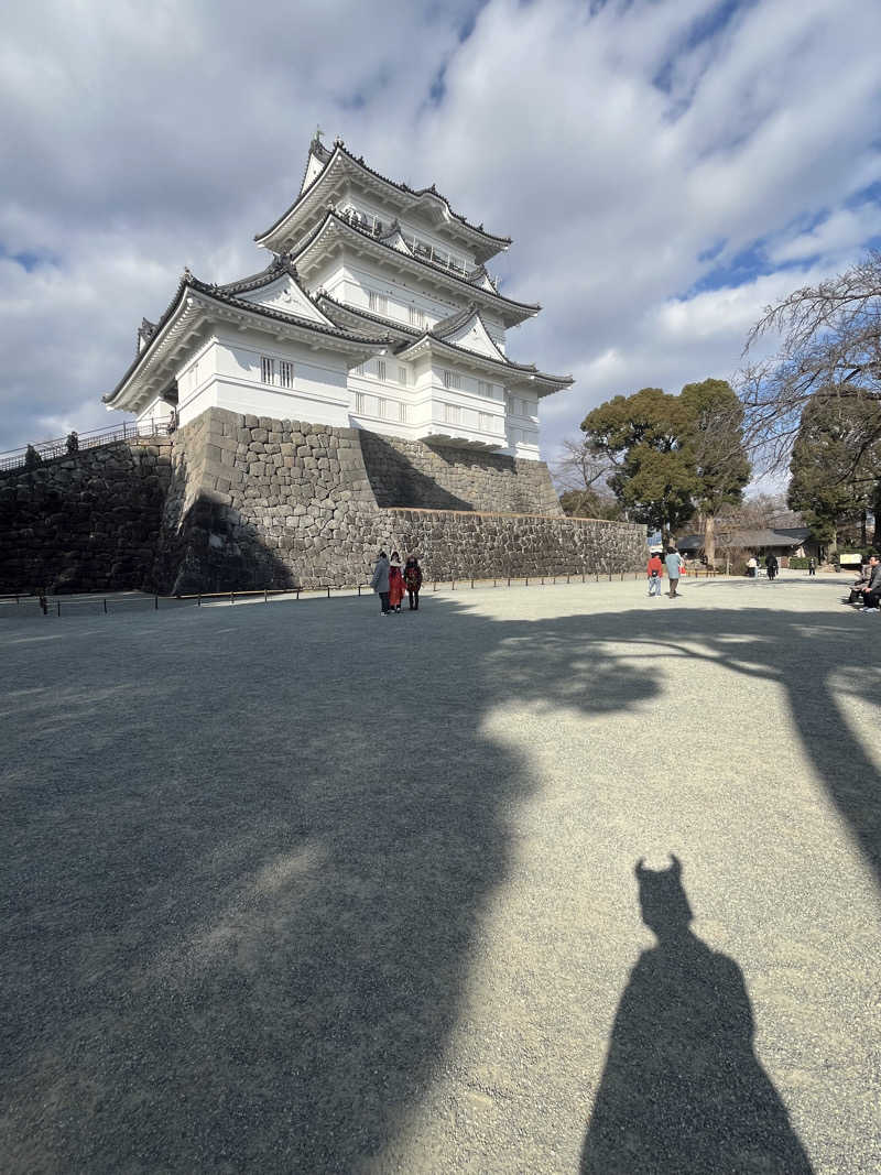 なおマンさんの山賊サウナのサ活写真