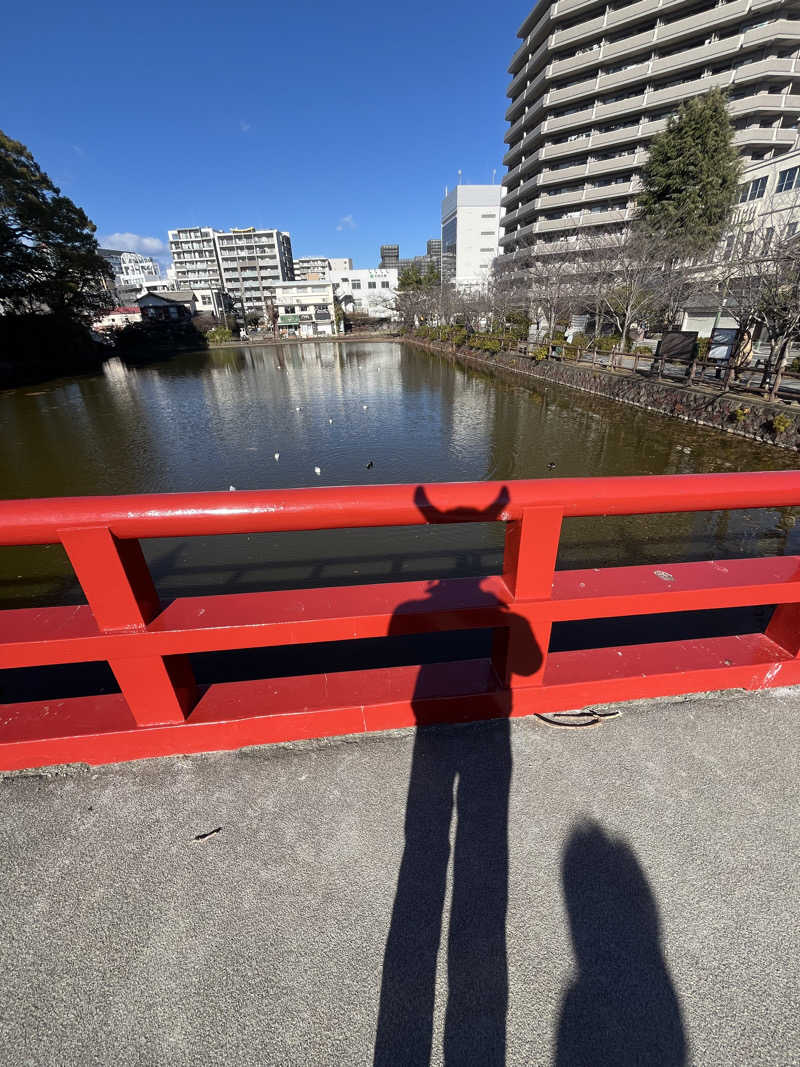 なおマンさんの天然温泉 小田原コロナの湯のサ活写真