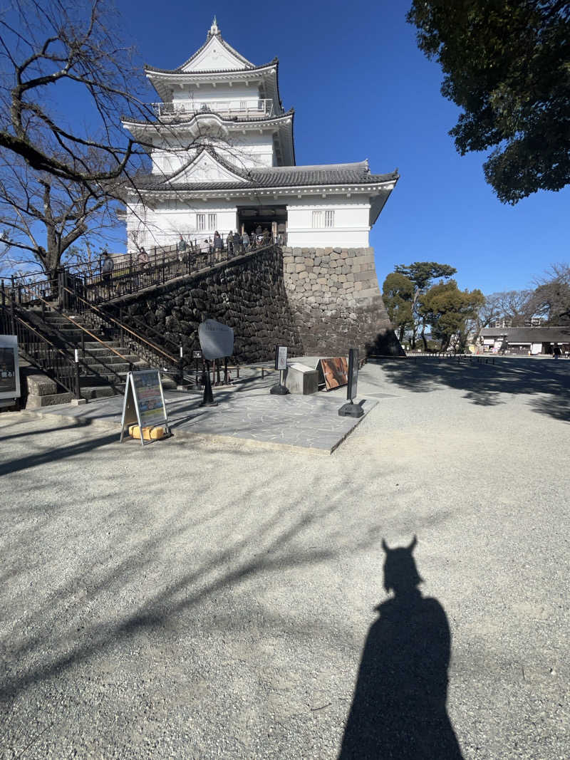 なおマンさんの天然温泉 小田原コロナの湯のサ活写真