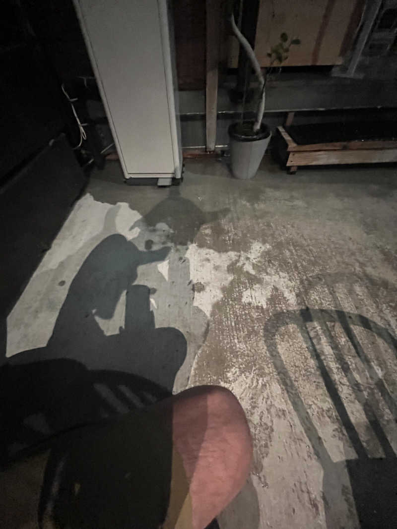 なおマンさんの山賊サウナのサ活写真