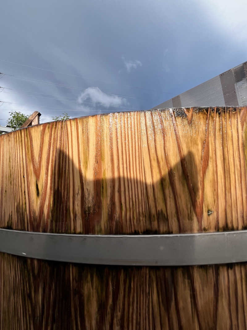 なおマンさんの山賊サウナのサ活写真