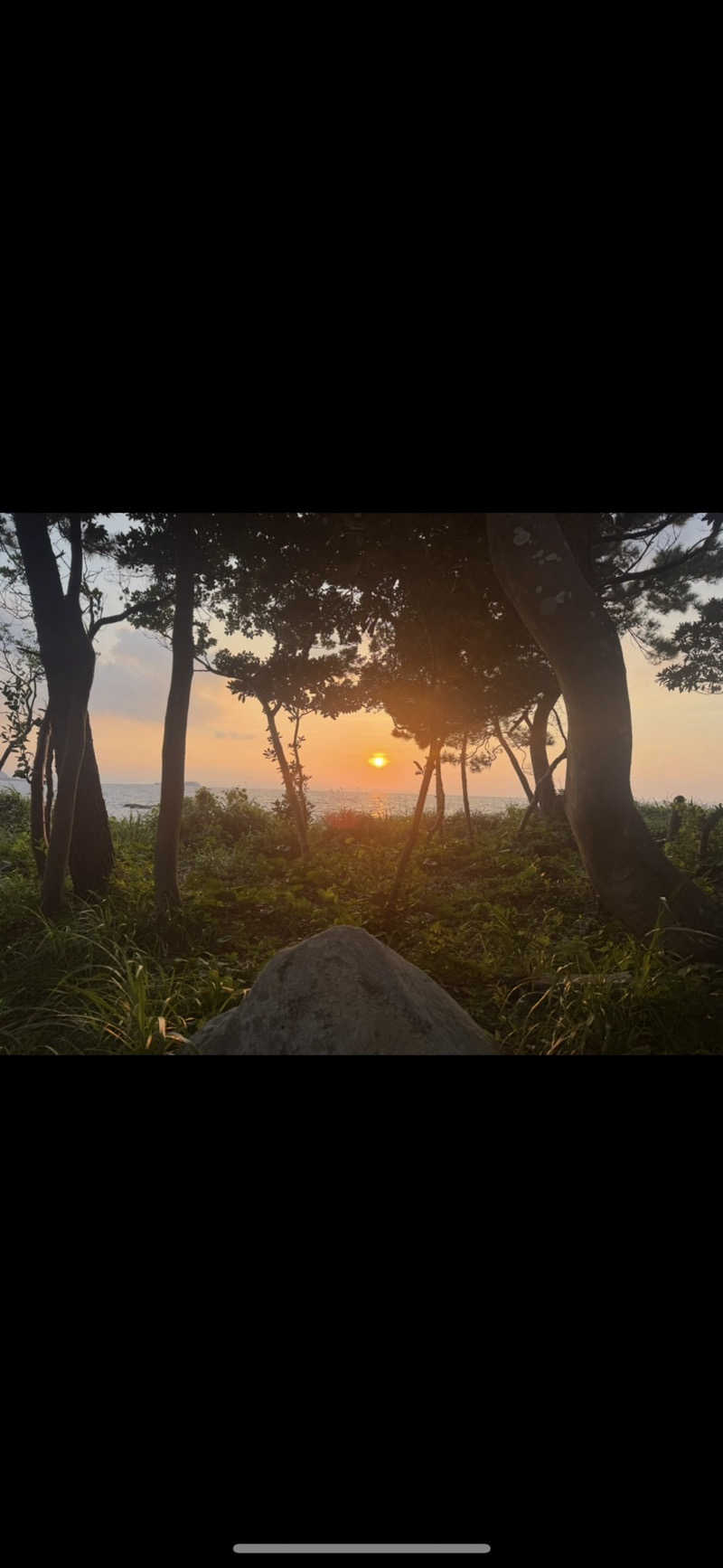 サウナと国税くんさんのHIDEAWAY sunset campのサ活写真