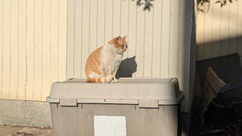 BIG　BAMBOOさんのおふろcafé かりんの湯のサ活写真