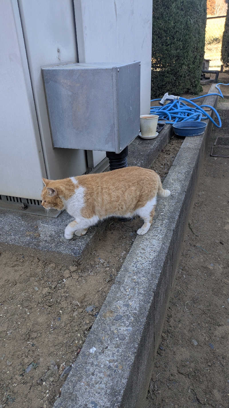 BIG　BAMBOOさんのおふろcafé かりんの湯のサ活写真