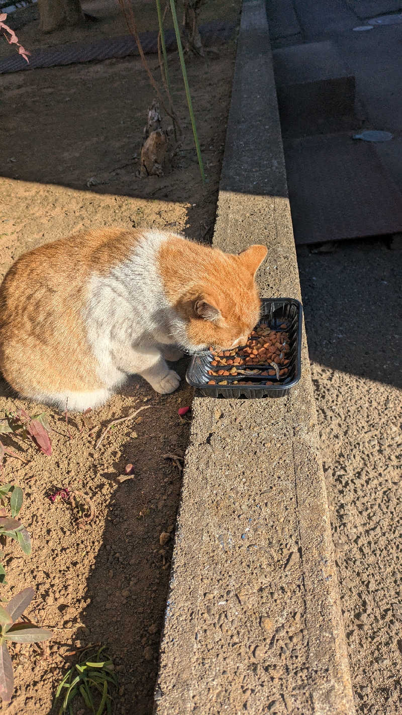 BIG　BAMBOOさんのおふろcafé かりんの湯のサ活写真