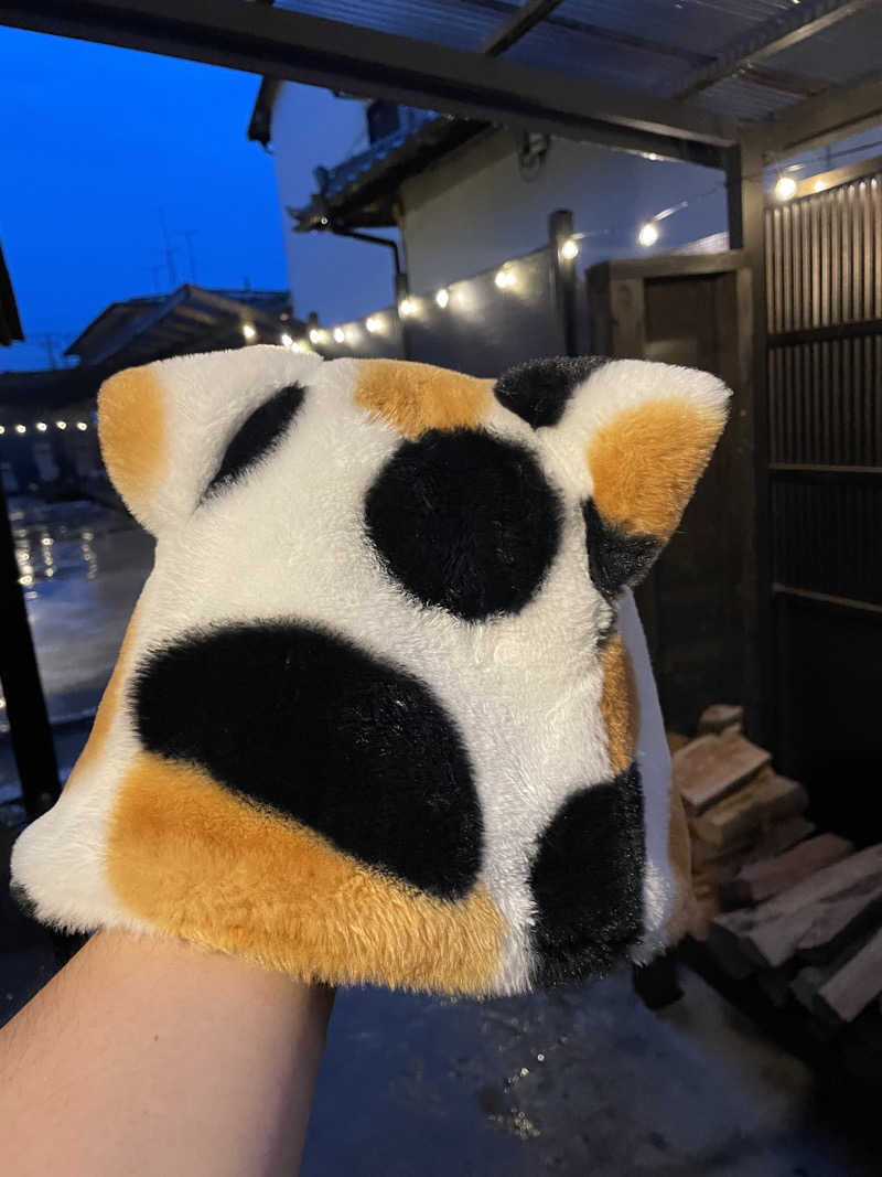 善吉さんの達磨サウナのサ活写真