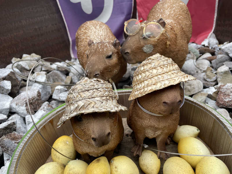 善吉さんの富士山天然水SPA サウナ鷹の湯のサ活写真