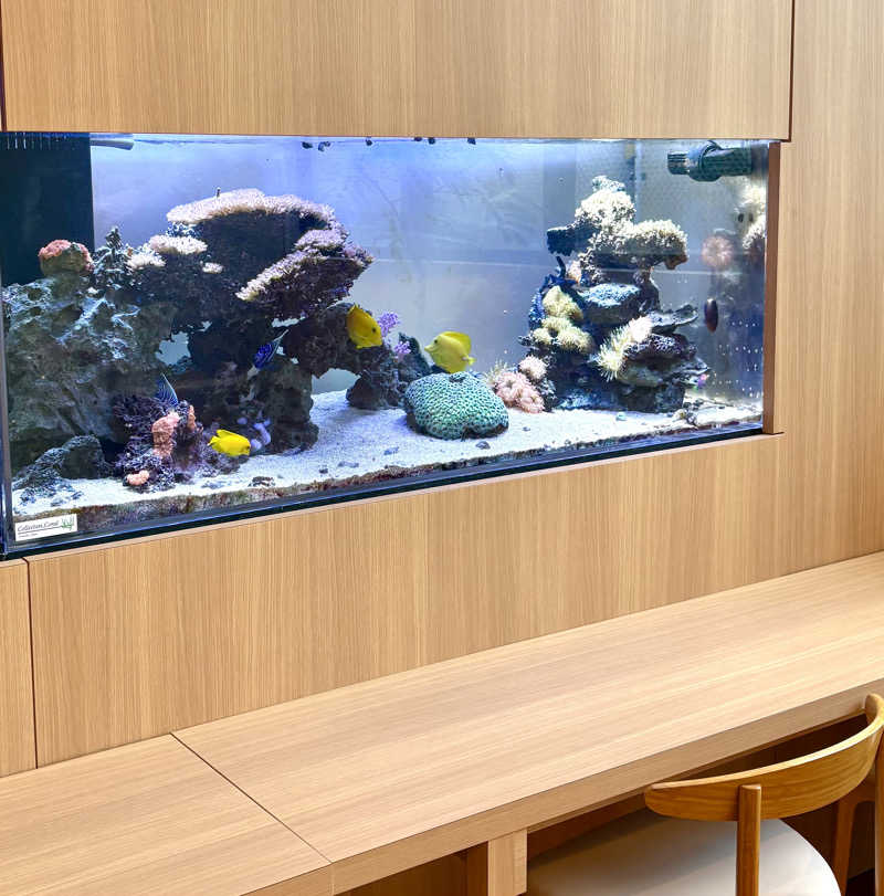 Umi&Riku🐈‍⬛さんのクアパレス藤のサ活写真