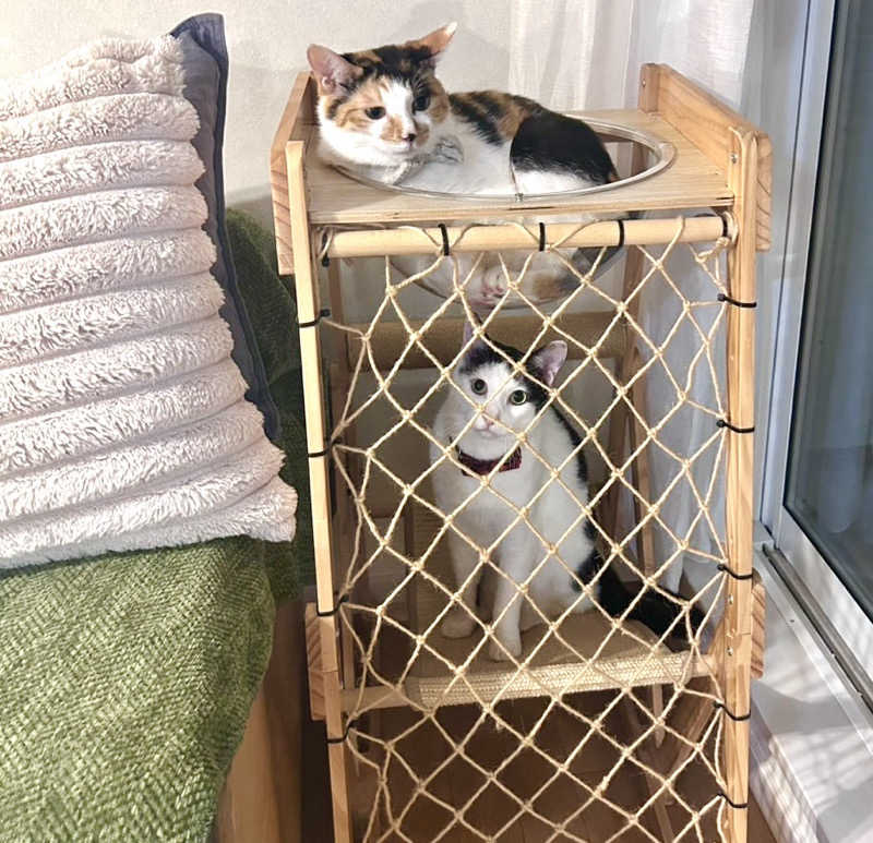 Umi&Riku🐈‍⬛さんの堀田湯のサ活写真