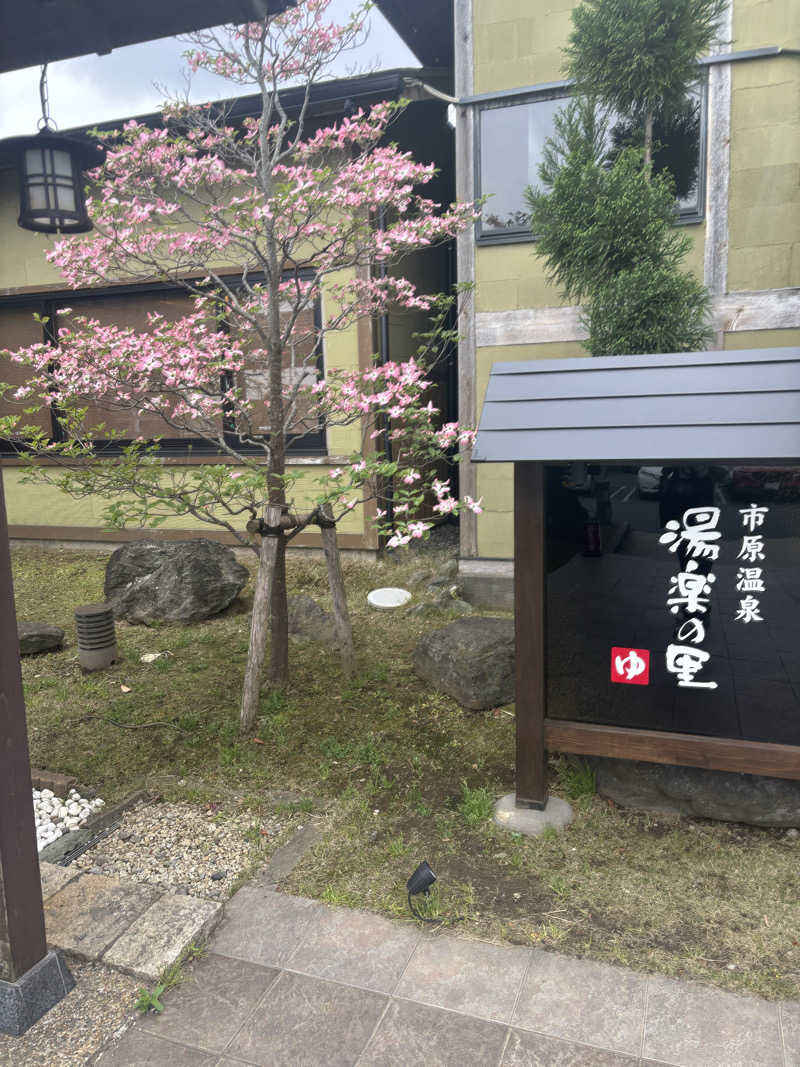 いかきちさんの市原温泉 湯楽の里のサ活写真