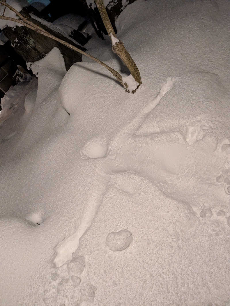 saunaさんの蔵サウナと文化財の宿 森長のサ活写真