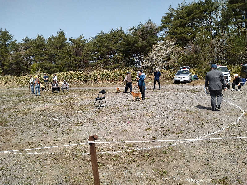 サウ中予備軍さんの岩手山焼走り温泉 いこいの村 岩手のサ活写真