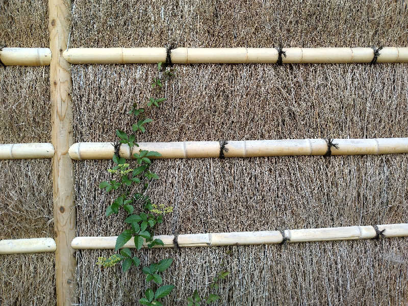 サウ中予備軍さんの岩手山焼走り温泉 いこいの村 岩手のサ活写真