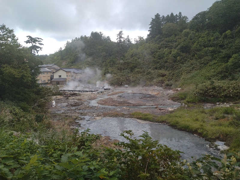 サウ中予備軍さんの後生掛温泉のサ活写真