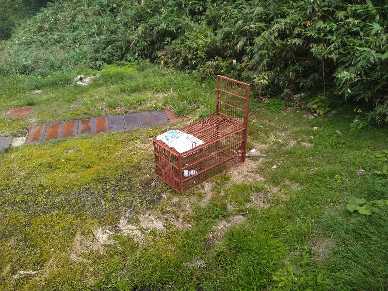 サウ中予備軍さんの後生掛温泉のサ活写真