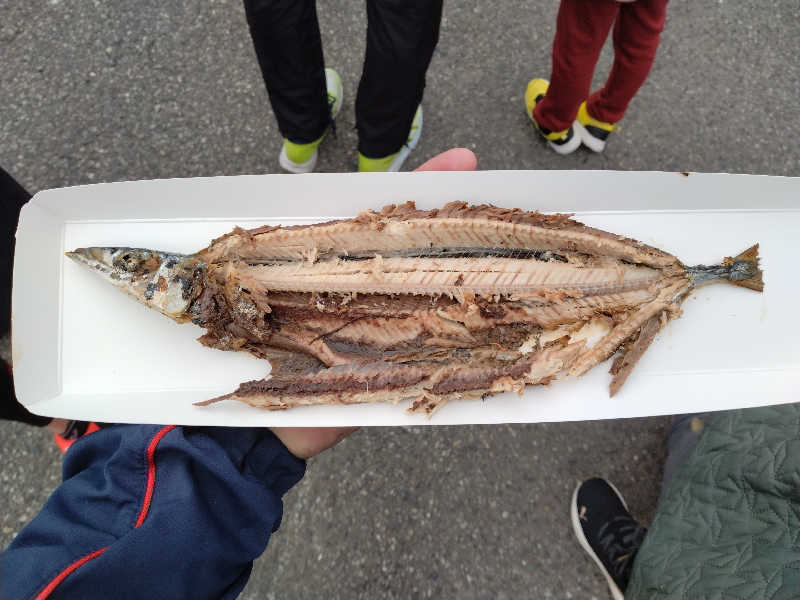 サウ中予備軍さんの岩手山焼走り温泉 いこいの村 岩手のサ活写真