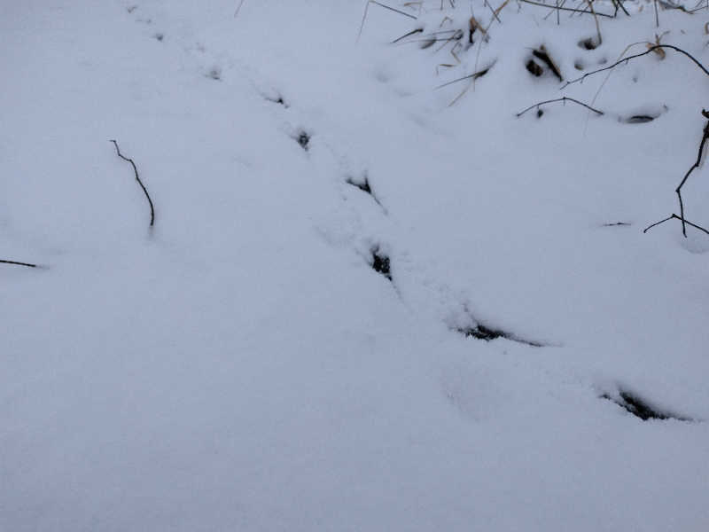 サウ中予備軍さんのSPA銭湯ゆっこ盛岡のサ活写真