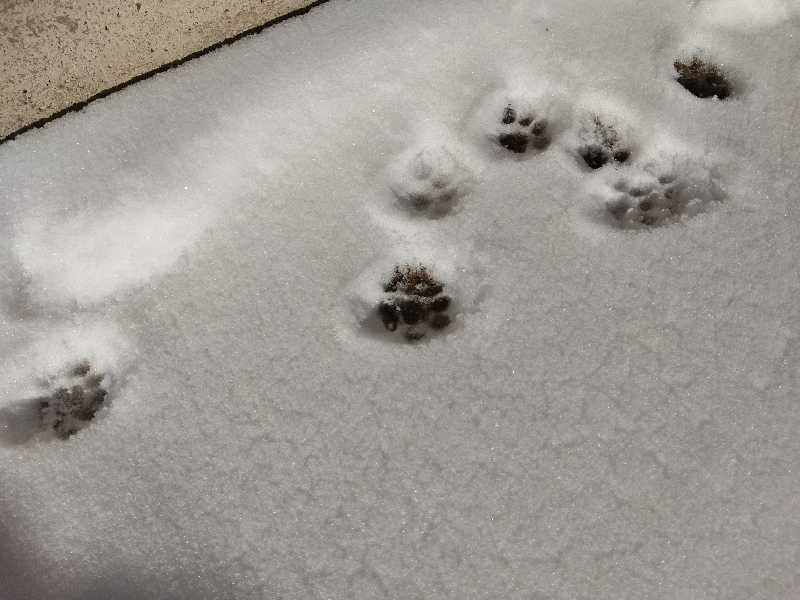 サウ中予備軍さんのユートランド姫神のサ活写真