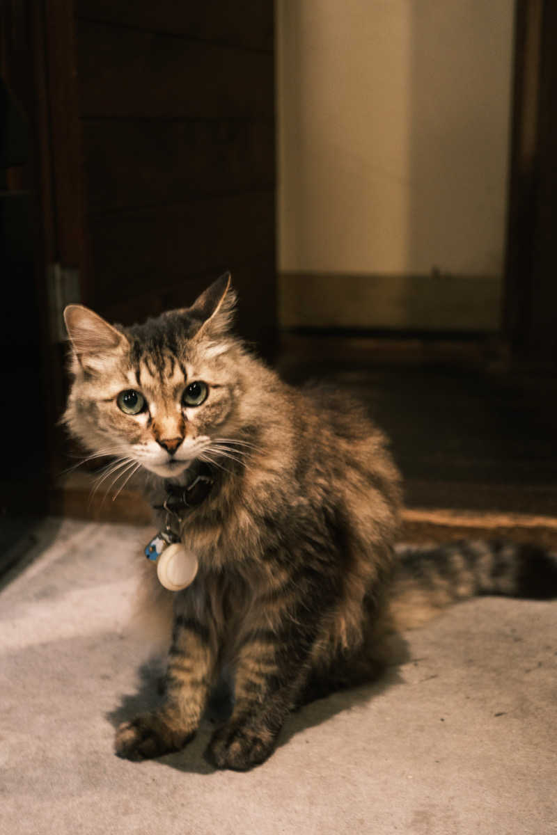 captain877さんの千人風呂のサ活写真