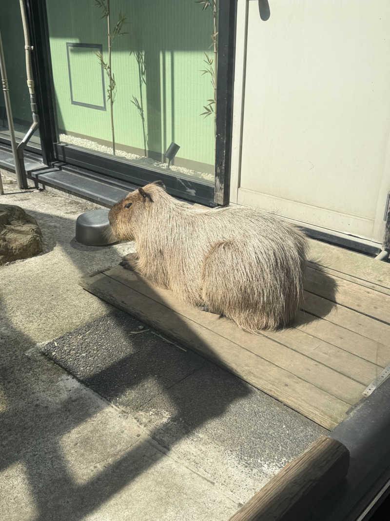 miisaさんの石狩天然温泉 番屋の湯のサ活写真