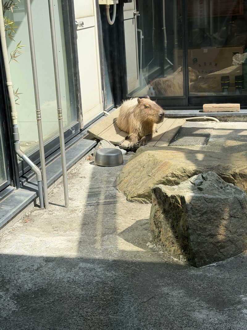 miisaさんの石狩天然温泉 番屋の湯のサ活写真