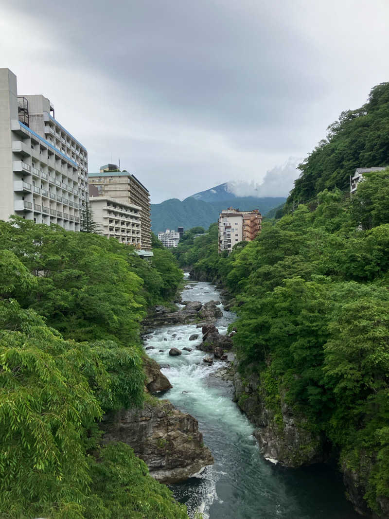 北の整いマンさんの鬼怒川温泉ホテルのサ活写真