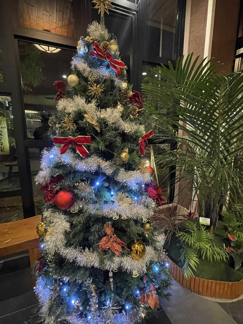 サウナ先生さんのSpa Resort 菜々の湯のサ活写真