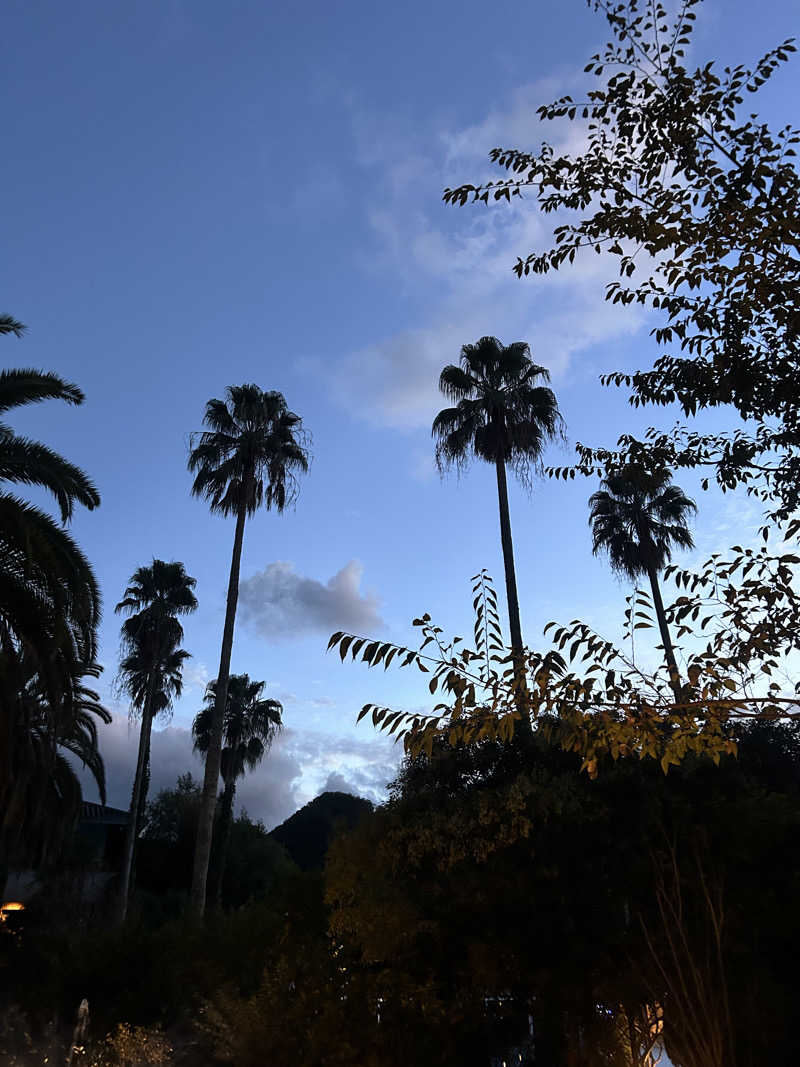 なーりーさんの蓮台寺温泉 清流荘のサ活写真