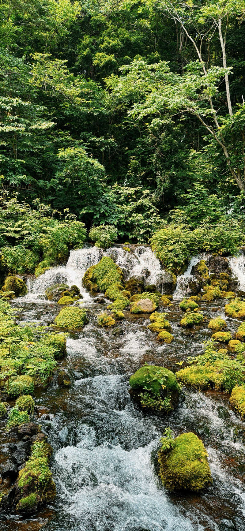 ちはるんさんの京極温泉 京極ふれあい交流センターのサ活写真