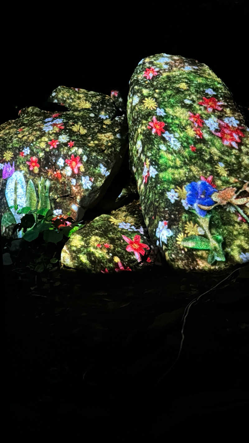 ちはるんさんの定山渓温泉 湯の花のサ活写真