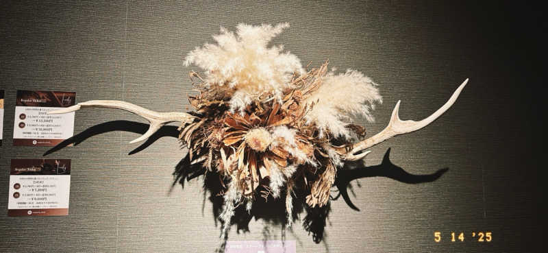 ちはるんさんのLively by Euphoria faste ライブリーのサ活写真