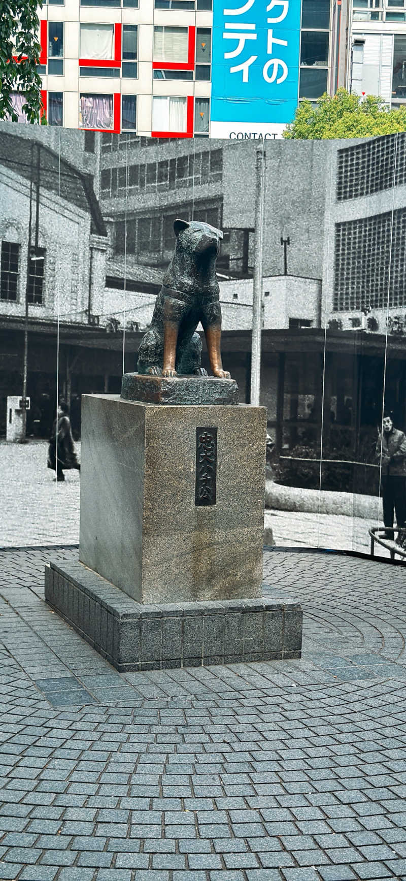 ちはるんさんの渋谷SAUNASのサ活写真