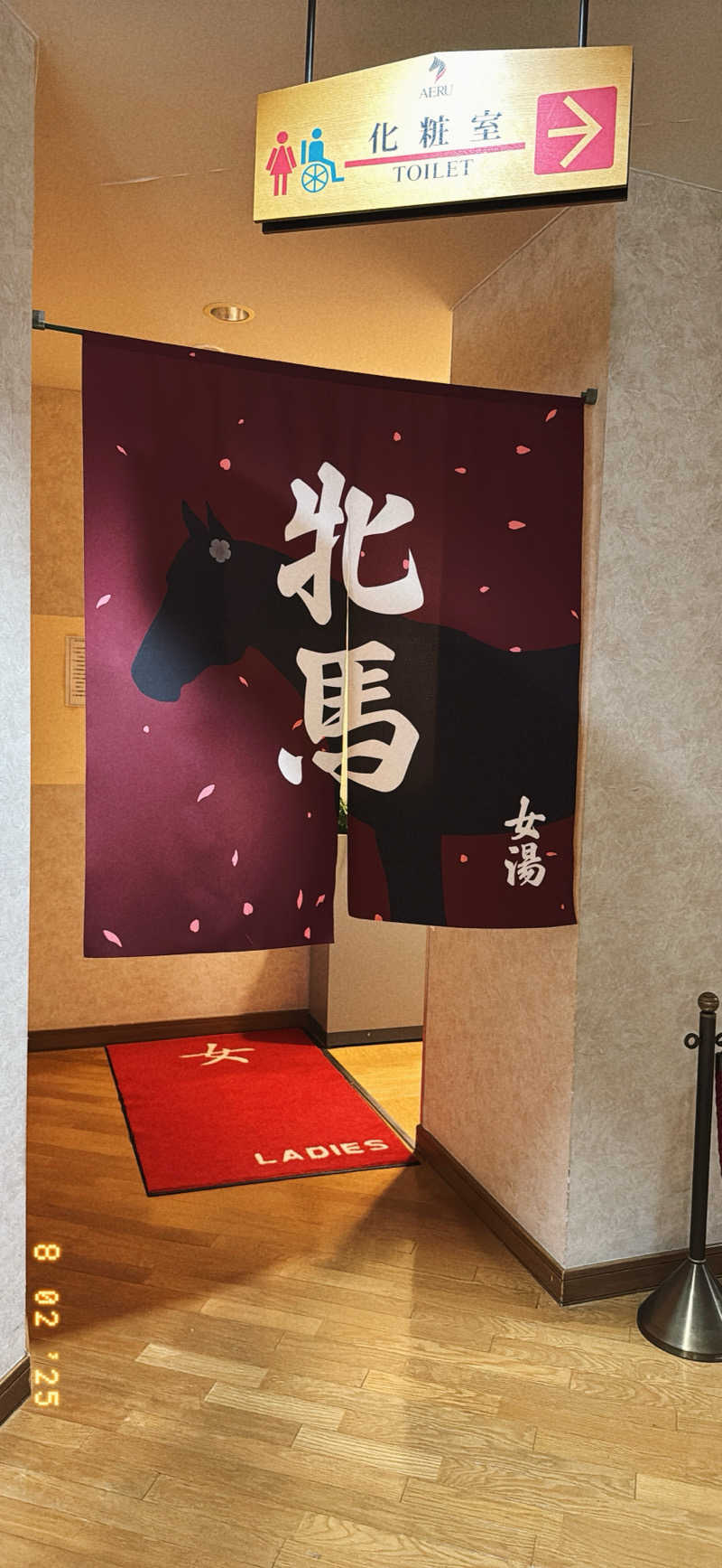 ちはるんさんのうらかわ優駿ビレッジアエルのサ活写真