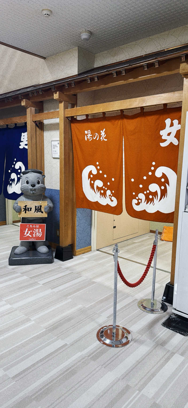 ちはるんさんの湯の花 朝里殿のサ活写真
