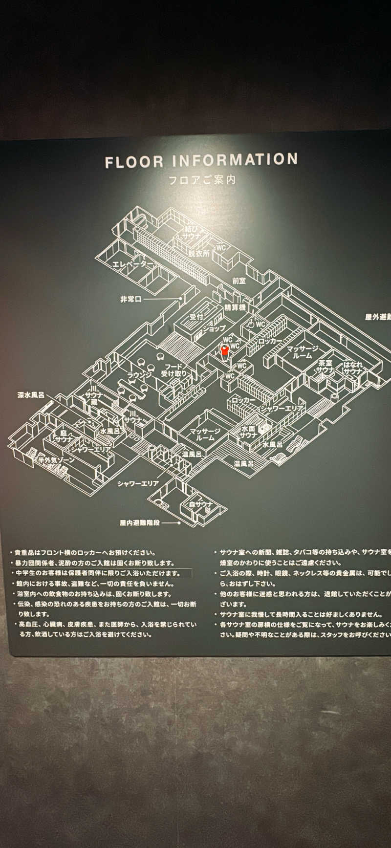 ちはるんさんの大阪サウナDESSEのサ活写真