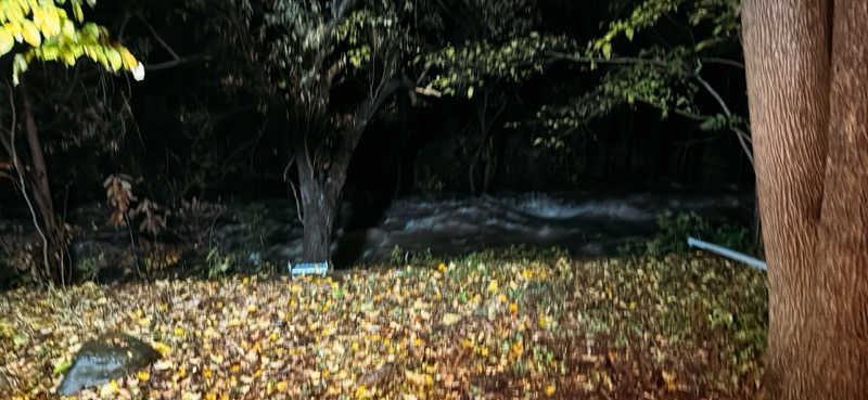 ちはるんさんの旅房はなえみのサ活写真