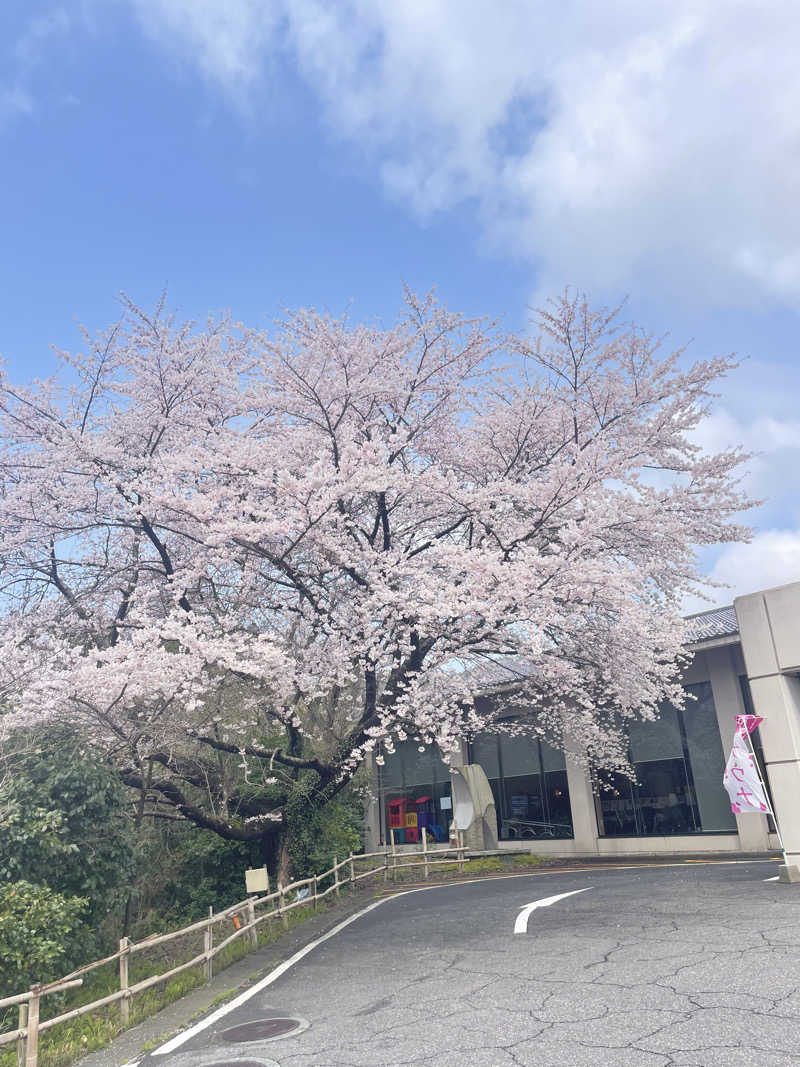 shaoRyさんのサウナと天然温泉 じょんのび館のサ活写真