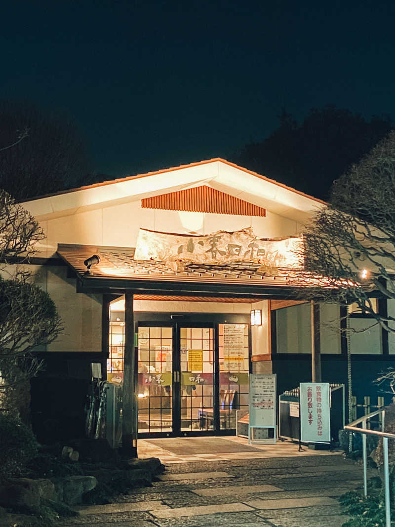 asukaさんの見沼天然温泉 小春日和のサ活写真