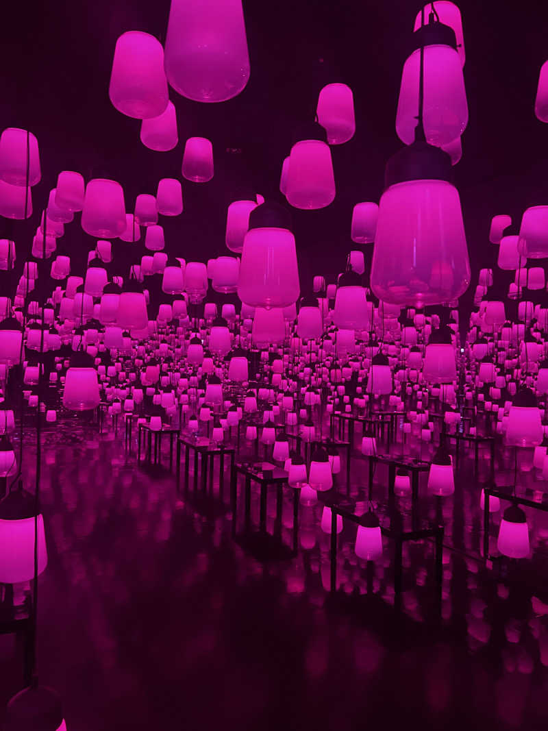 天さんの御船山楽園ホテル  らかんの湯のサ活写真