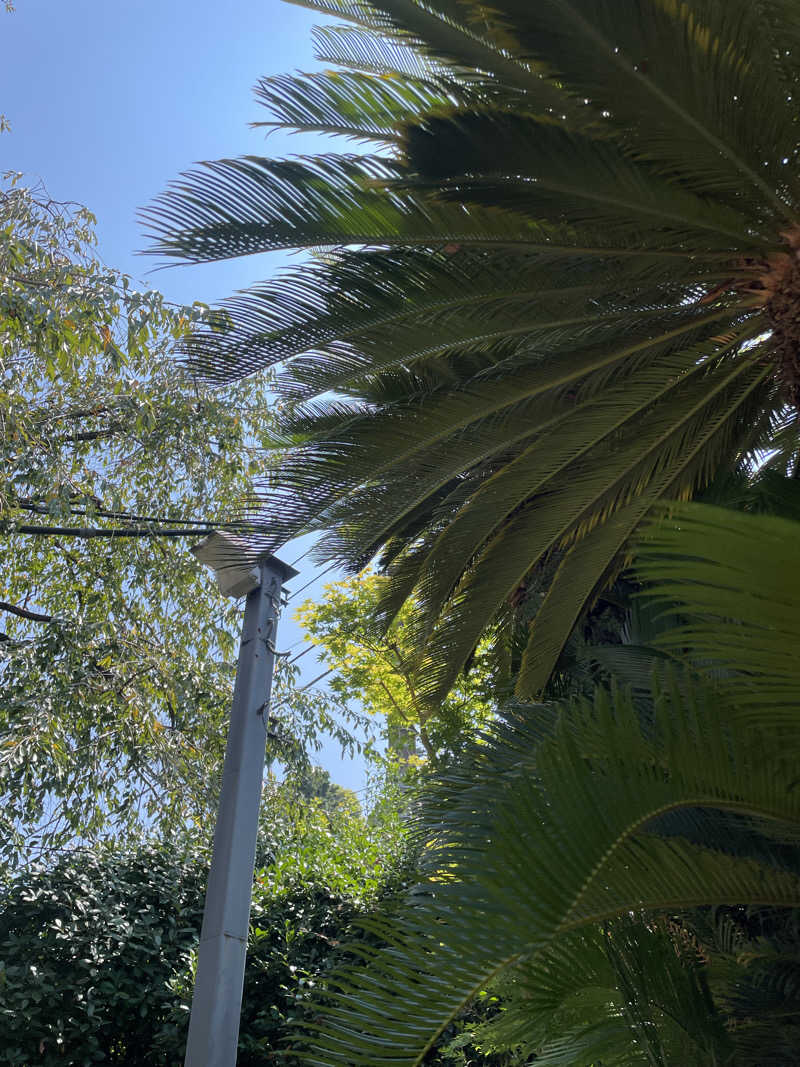 ゆきこさんのサウナゆげ蔵のサ活写真